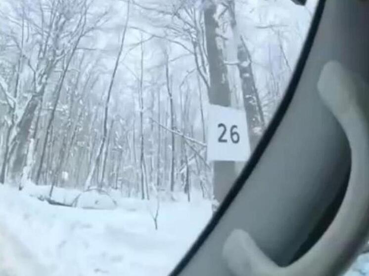 Самарцам напомнили про зимник «Шелехметь – Белые домики»: ехать лучше осторожно