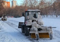 11 января в Нижнем Тагиле был задержан местный житель, который проигнорировал сигнал экипажа ДПС об остановке