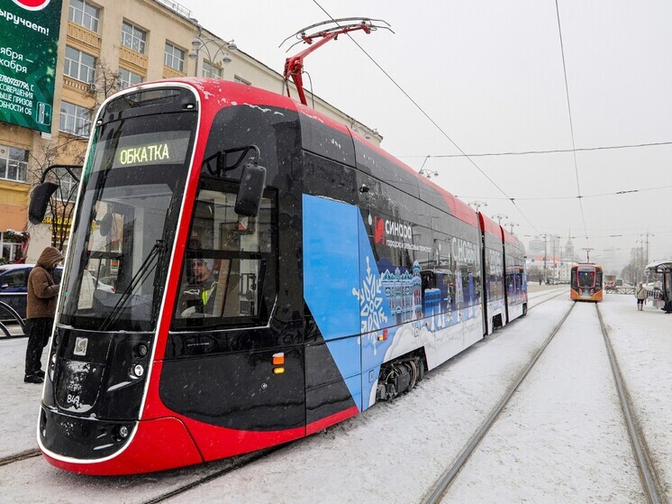 Росгвардия: обнажённую пассажирку сняли с маршрута в Петербурге