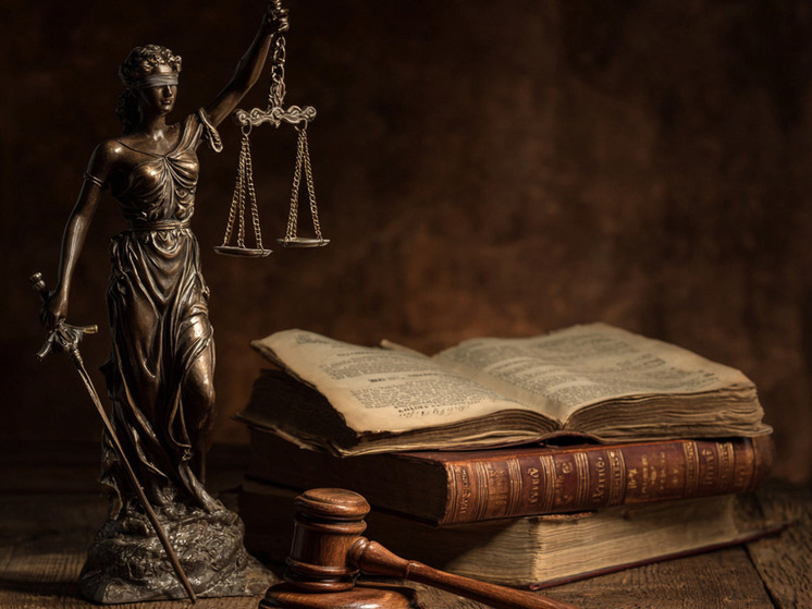 В Самаре журналистка добивалась алиментов через судебных приставов 1 год