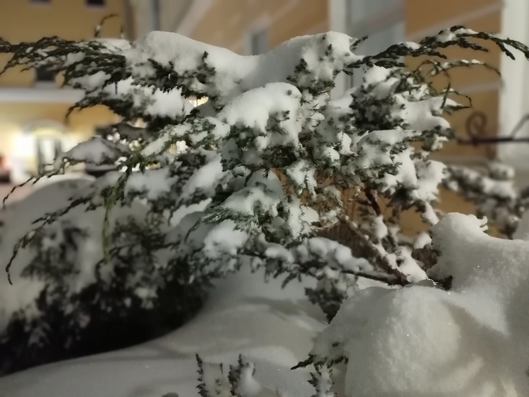 В Новгородской области снегопады возьмут паузу