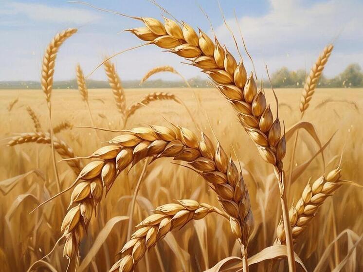 Курская область в 2025 году экспортировала в регионы России свыше 2,6 млн тонн сельхозпродукции