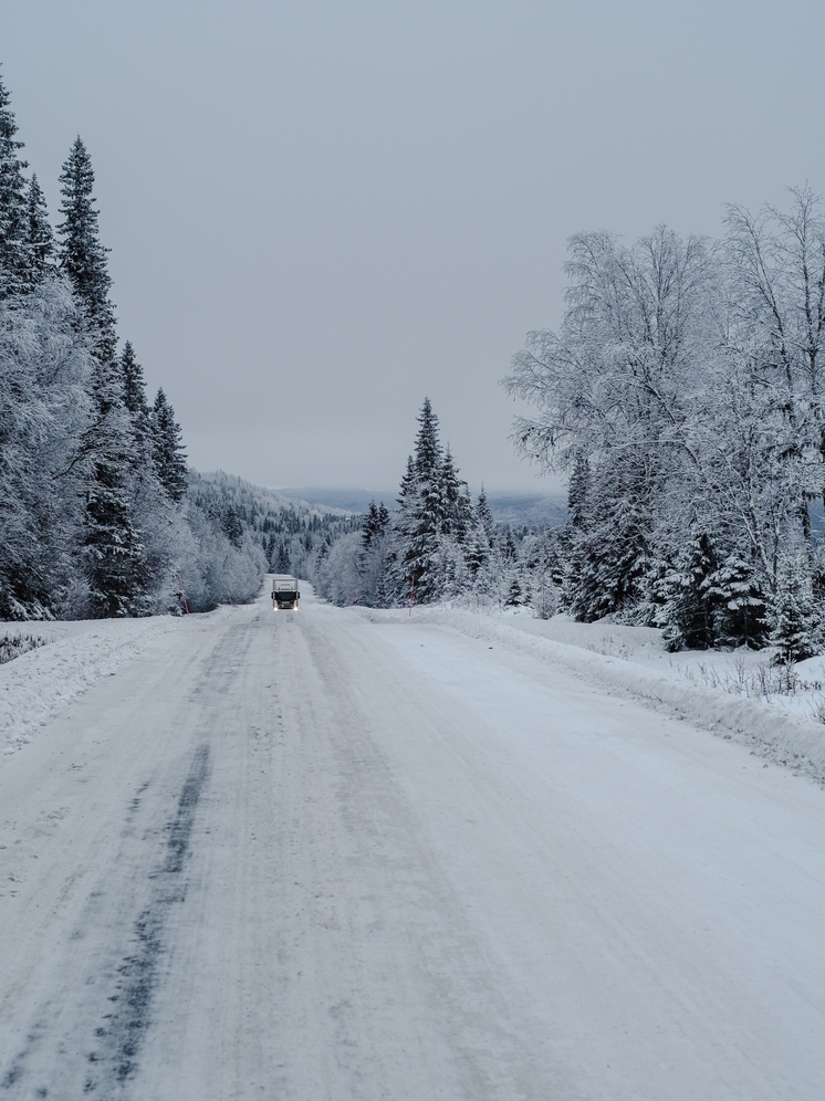 В Брянском районе иномарка сбила нетрезвую женщину