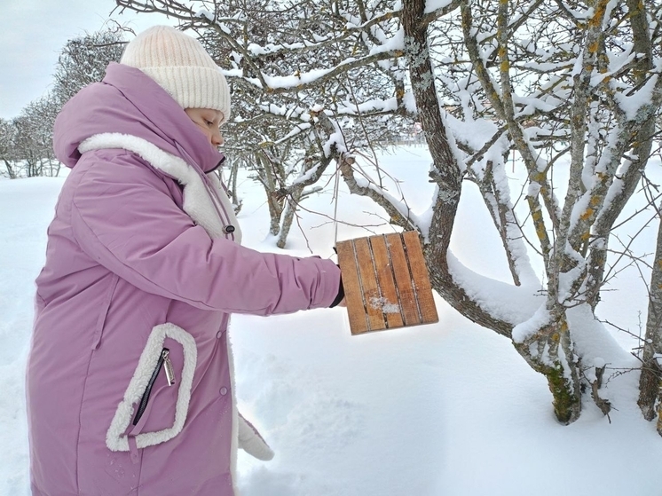Андреапольские школьники помогают птицам пережить зиму