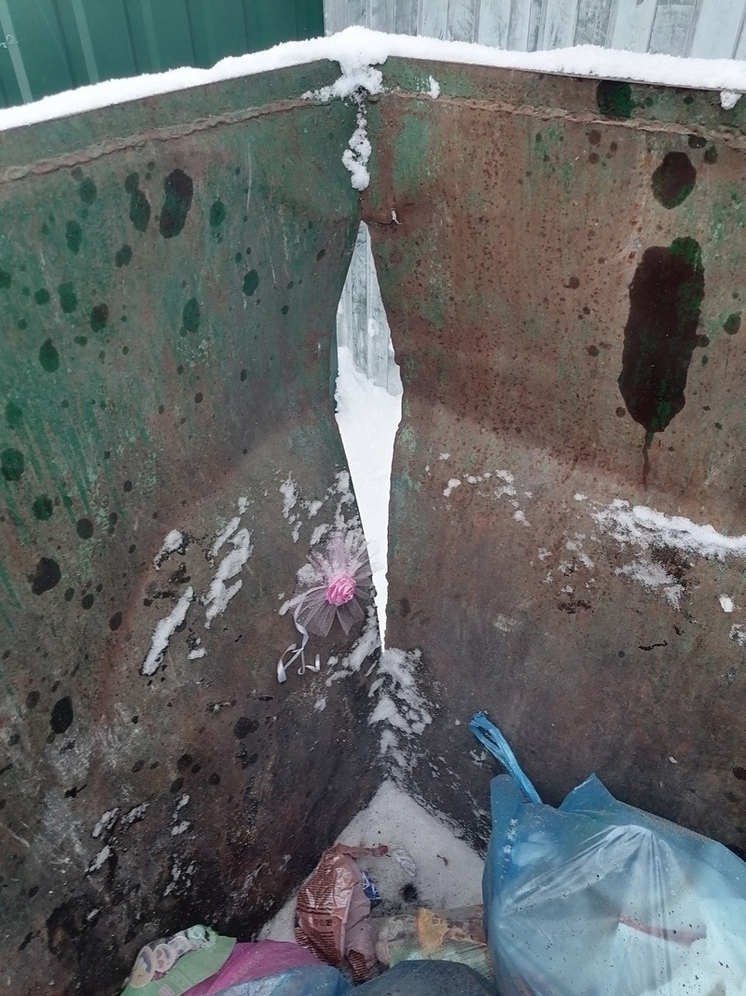 В Селивановском районе контейнеры приведут в надлежащее состояние