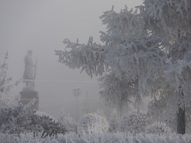 В Иркутск к середине января придут крещенские морозы