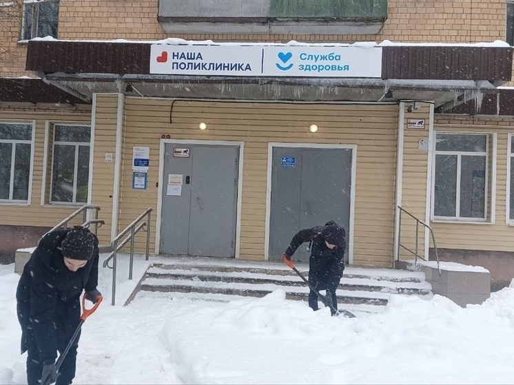 Серпуховские студенты расчистили территории медучреждений