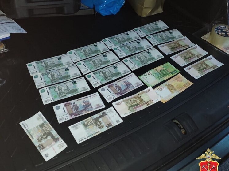 Ректора частного вуза Петербурга будут судить по делу о незаконной миграции