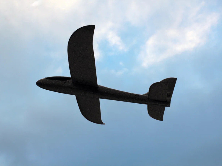 В Липецкой области желтый режим опасности работал 10 часов