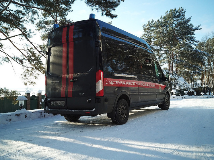 Бастрыкин затребовал доклад по ситуации с жильем для ивановской сироты