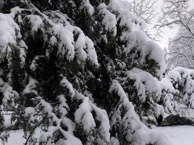 В Краснодаре объявили штормовое предупреждение
