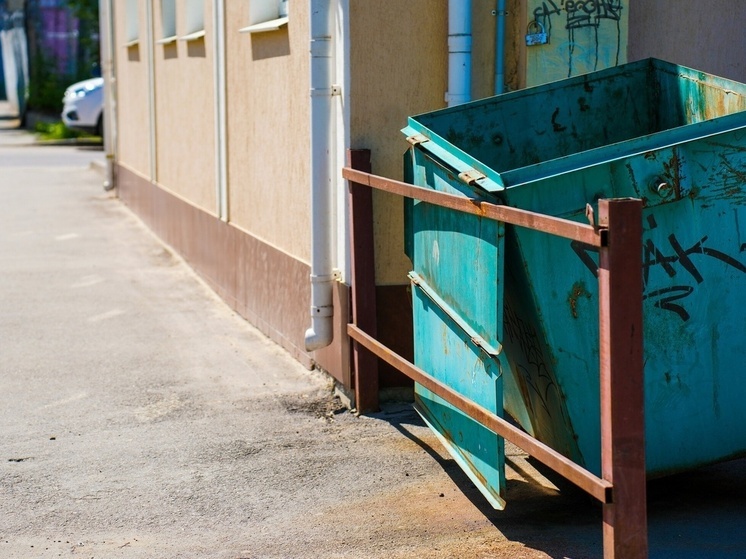 На очистку мусорного полигона в тульской деревне Карачево потратят 47 млн рублей