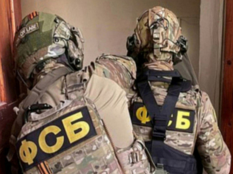 РИА Новости: ФСБ задержала в ЛНР участника экстремистской организации