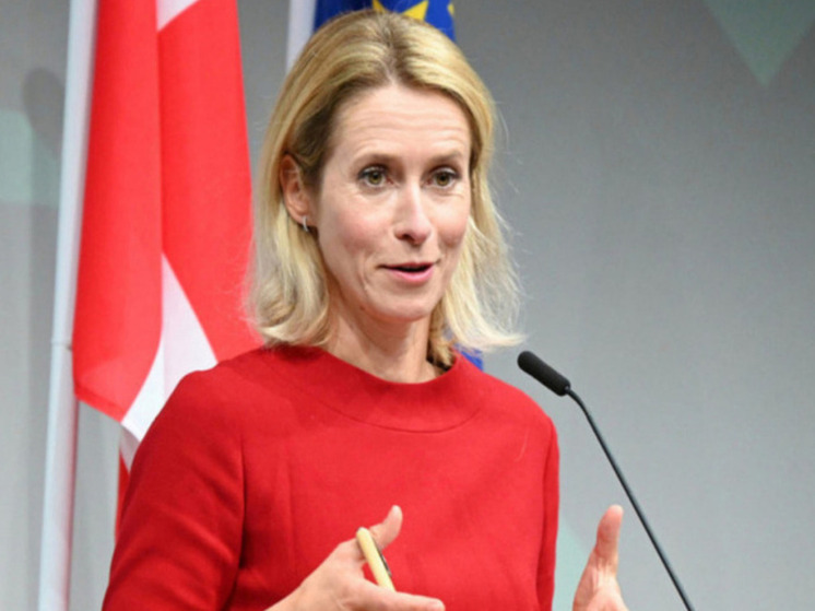 Каллас: НАТО способно развеять опасения США по поводу безопасности Гренландии