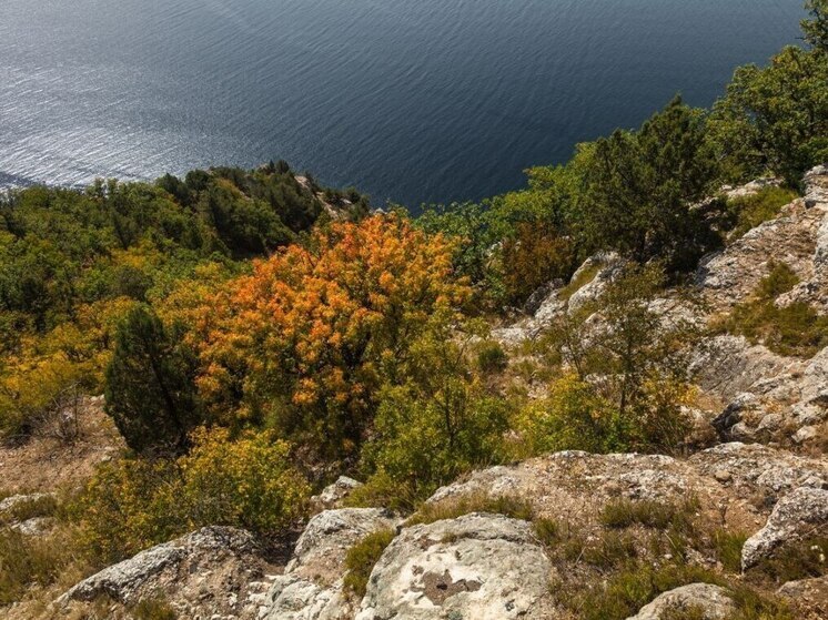 В Севастополе насчитывается 19 особо охраняемых природных территорий