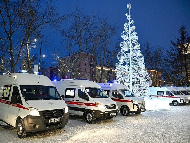 В Мурманской области бригады скорой помощи получили 20 новых автомобилей