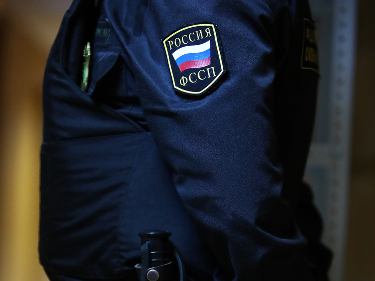 Как сообщает пресс-служба ГУФССП России по Челябинской области, дело поступило из Оренбургской области в 2024 году с долгом в 656 тысяч рублей