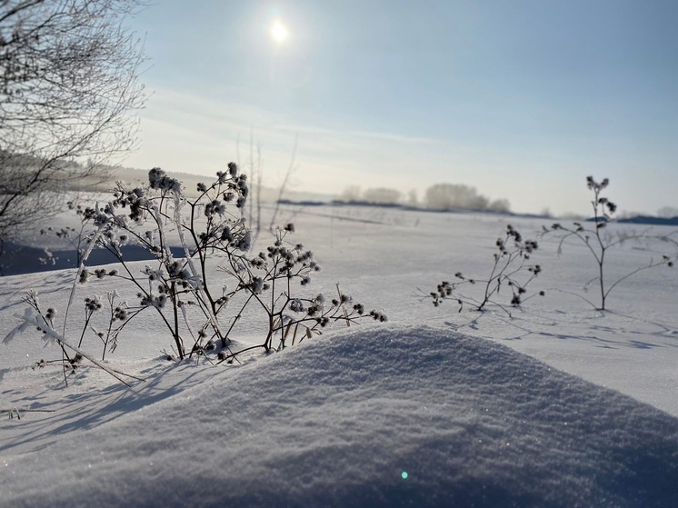 Энергетики назвали наиболее пострадавшие от непогоды районы Рязанской области