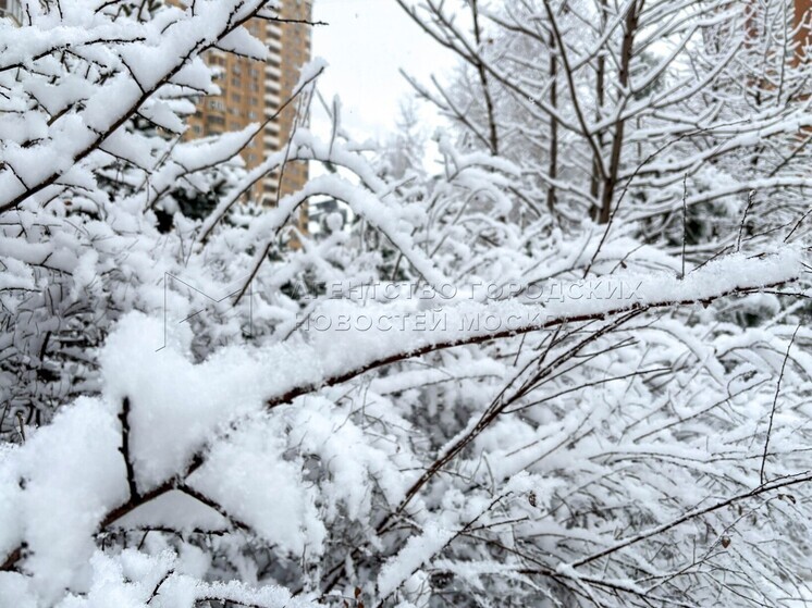 Ивановскую область снова накрыли снегопады