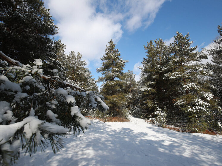 В Волгоградской области радиационный фон не превышает естественных значений
