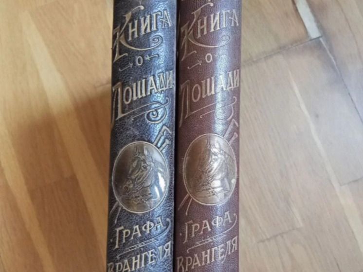 Антикварные сокровища Ростова-на-Дону: конфетница из Германии и «Книга о лошадях» за полмиллиона