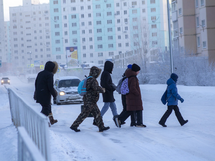 Новосибирские школьники могут остаться дома из-за крещенских морозов