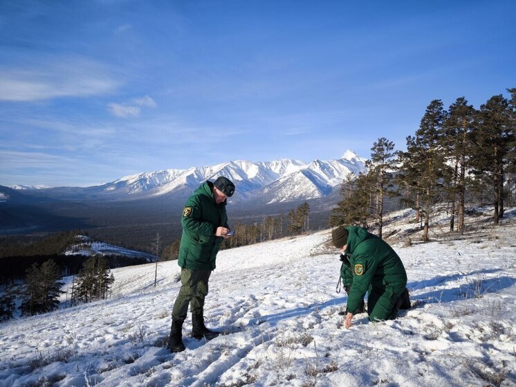 В Бурятии в региональных заказниках объявлен режим тишины по 10 марта