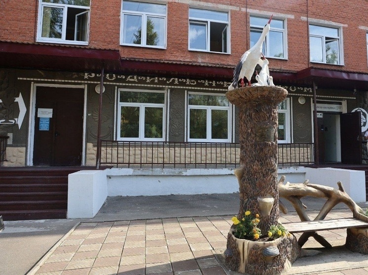 В Серпухове для будущих мам проведут полезную экскурсию