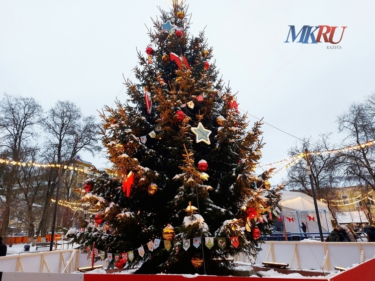 Калужан призвали не выкидывать ёлки