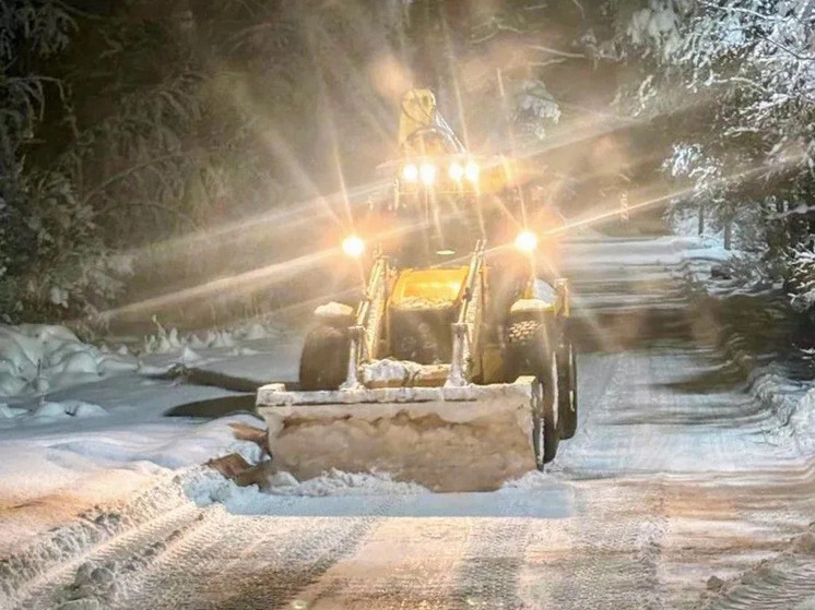 Снежный штаб принял 220 заявок ленинградцев на уборку дорог за время каникул