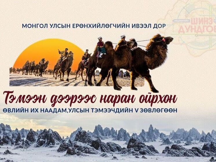 В Монголии пройдет родео на верблюдах