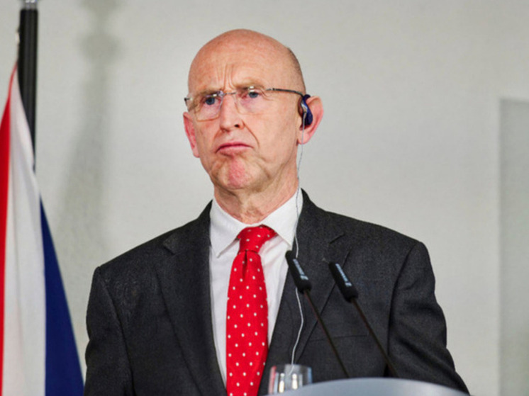 Профессор Дизен подверг критике слова Хили о похищении Путина