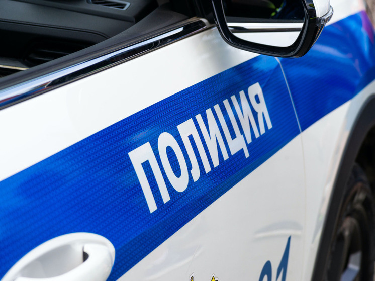 Бабушка попалась на краже сумки в Миассе