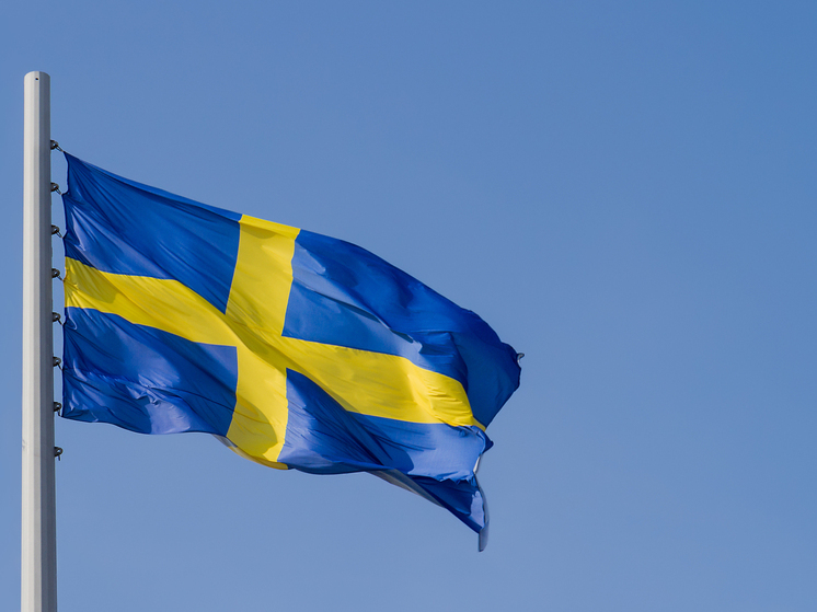 Йонсон заявил, что заявления Трампа о Гренландии привели к "неопределенности"