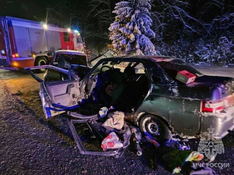 ДТП на дорогах Ленобласти унесли 9 жизней за время новогодних каникул