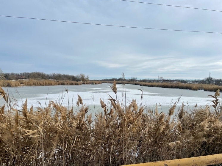 В Ростовской области вводится нерестовый запрет на вылов щуки с 15 января