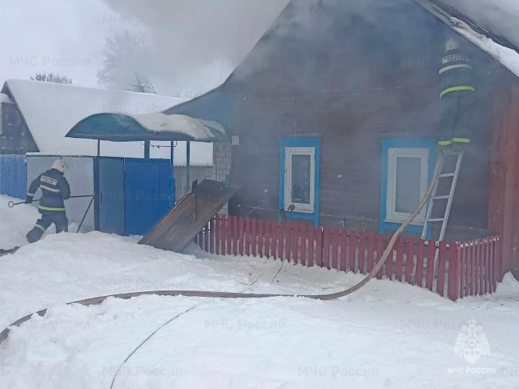 В брянской деревне Поконь спасатели потушили горевший дом