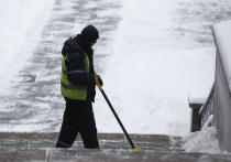 Обильный снегопад, накрывший центральные области России во второй половине новогодне-рождественских каникул, вызвал ажиотажный спрос на средства для уборки снега и сопутствующий инвентарь