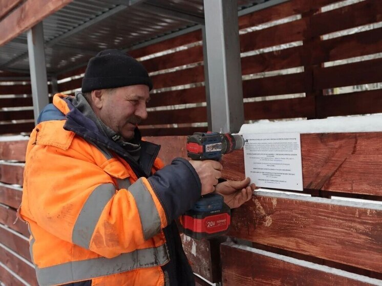 За 2025 год в Брянске установили 48 мусорных площадок