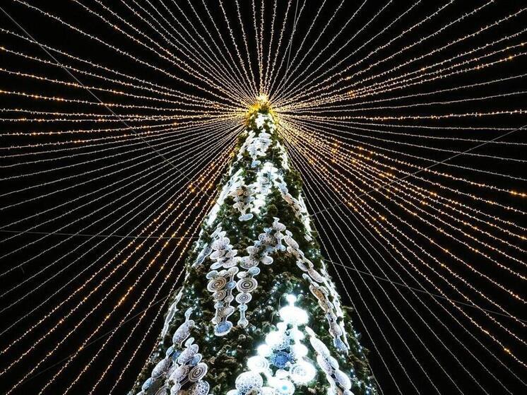 Елки из трех городов Челябинской области претендуют на звание лучших