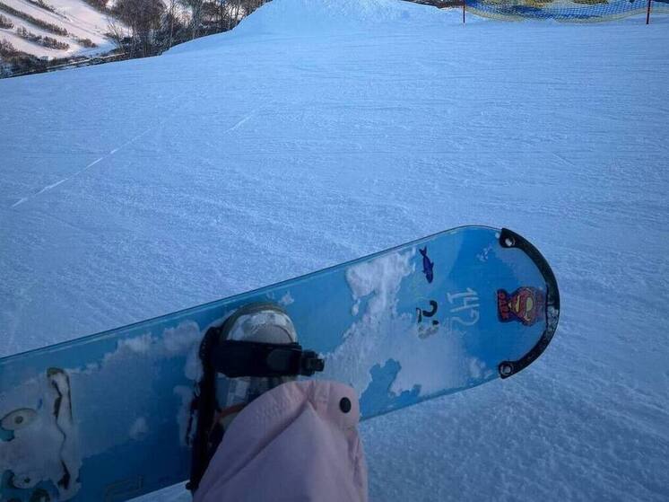 Зима в полном разгаре. Новгородская область утопает в снегу, а значит самое время для лыж, сноубордов и ватрушек. И если последние приобрести не представляет никакой сложности, то с другим инвентарем придется повозиться. Во сколько обойдутся зимние развлечения родителям в этом году, рассказала в интервью «МК в Великом Новгороде» доцент кафедры корпоративных финансов и корпоративного управления Финансовый университет при Правительстве РФ Борисова Ольга.