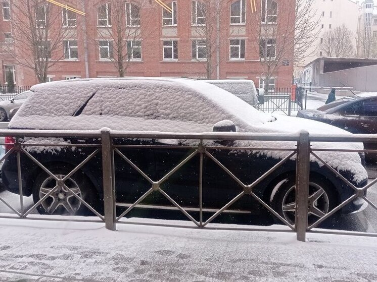 Предприимчивые петербуржцы придумали новый способ заработка на снеге