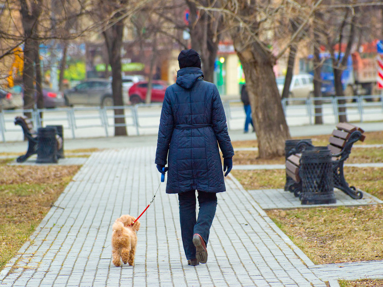 Гороскоп для всех знаков зодиака на 13 января 2026 года