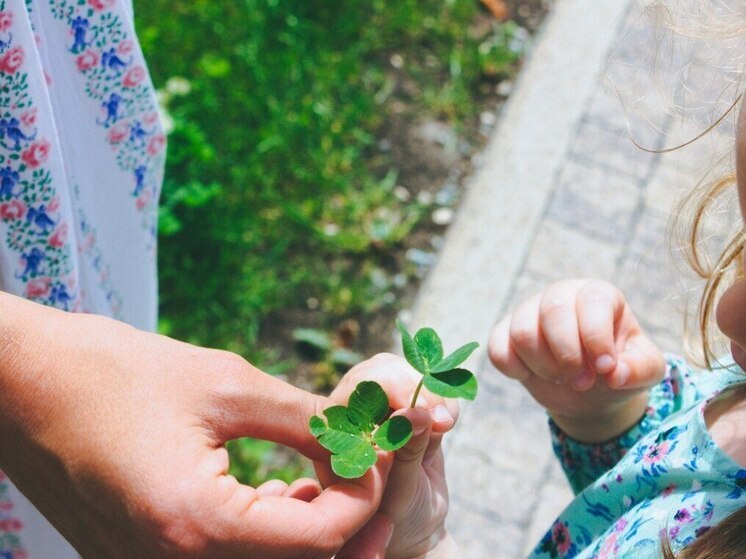 В Новгородской области самым популярным именем в 2025 году стала София
