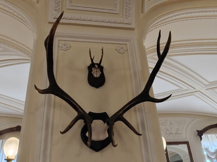 Охотникам Хакасии напомнили завершении сезона и о необходимости о сдаче разрешении