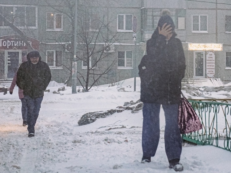 Бутов призвал новомосковцев быть осторожными из-за метели и снегопада