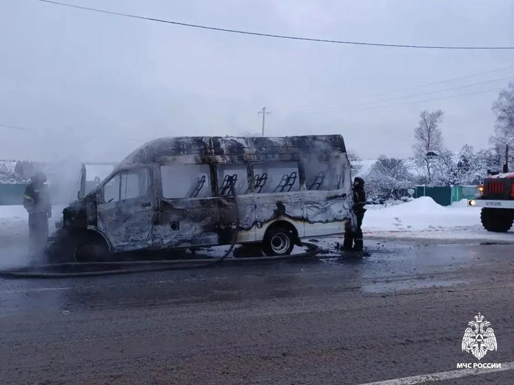 Утром спасатели тушили горящую ГАЗель под Тверью