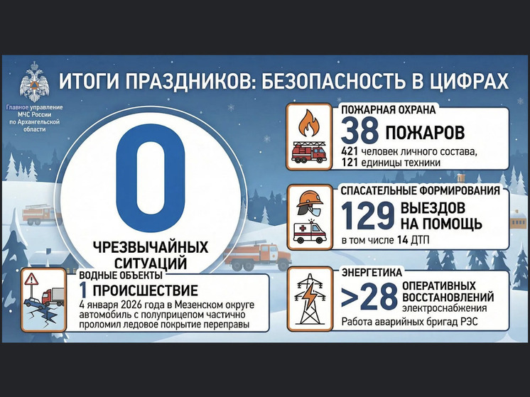 МЧС Архангельской области: новогодние праздники прошли без ЧП