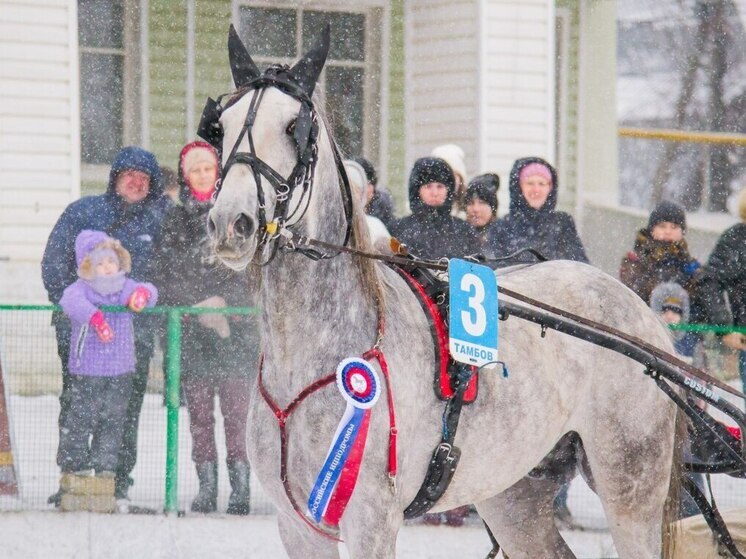 Тамбовский ипподром открывает зимний сезон