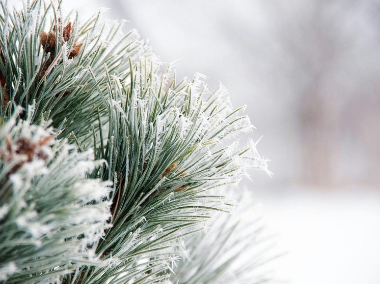 Мороз и ветер в Хабаровском крае: до −23 градусов и юго-западный ветер